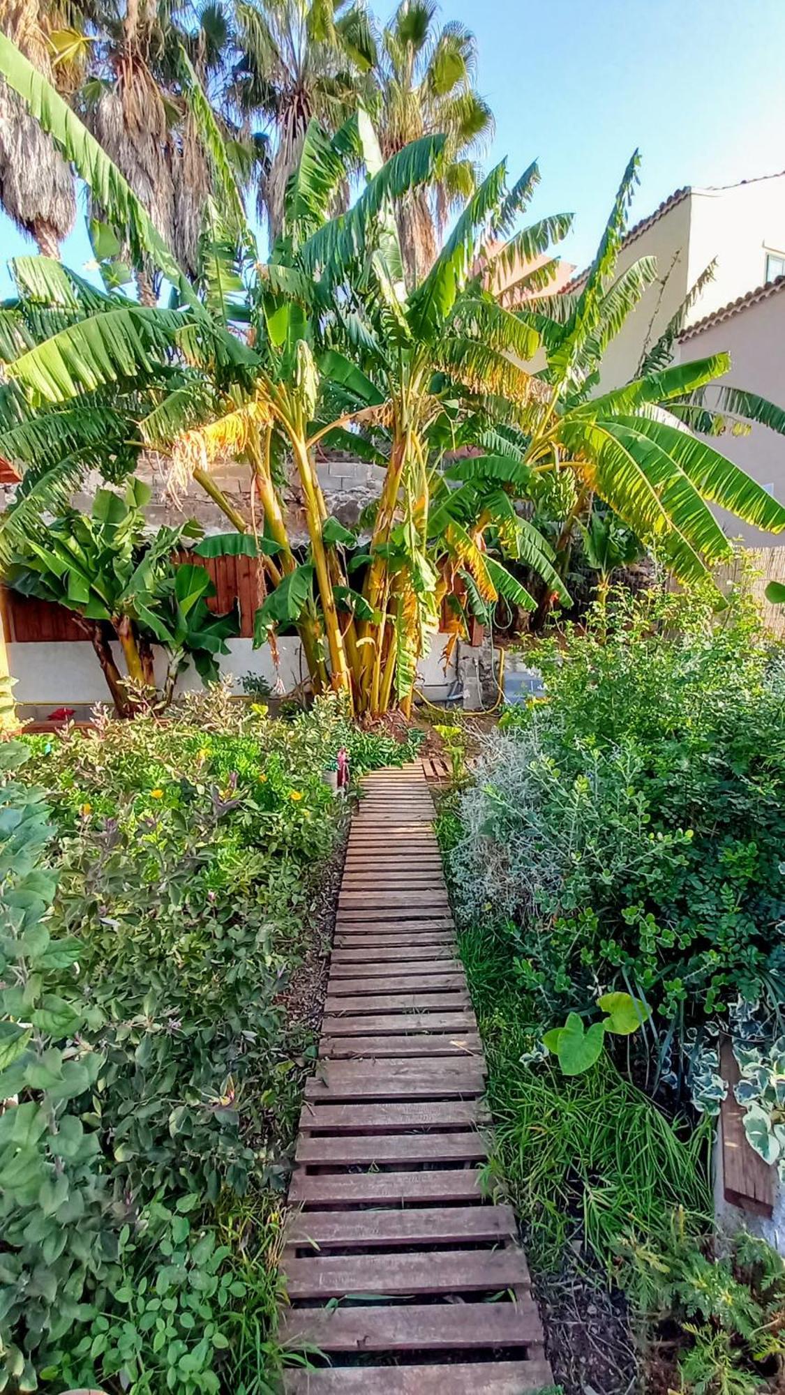Finca Don Pedro Santa Cruz de Tenerife Eksteriør bilde